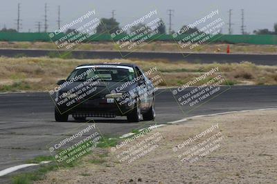 media/May-04-2024-Lucky Dog Racing (Sat) [[d39539b3f3]]/Race Pics/1130am (Turn 8)/